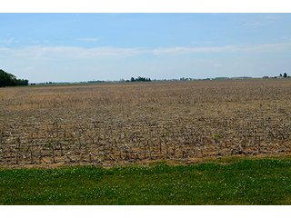 Property photo 56 - FARM & LAND AUCTION - 125+/- ACRES OFFERED IN 5 TRACTS IN EAST ALLEN COUNTY, INDIANA